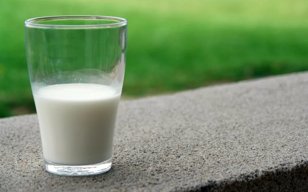 Le duo calcium-vitamine D : vos alliés contre la perte osseuse