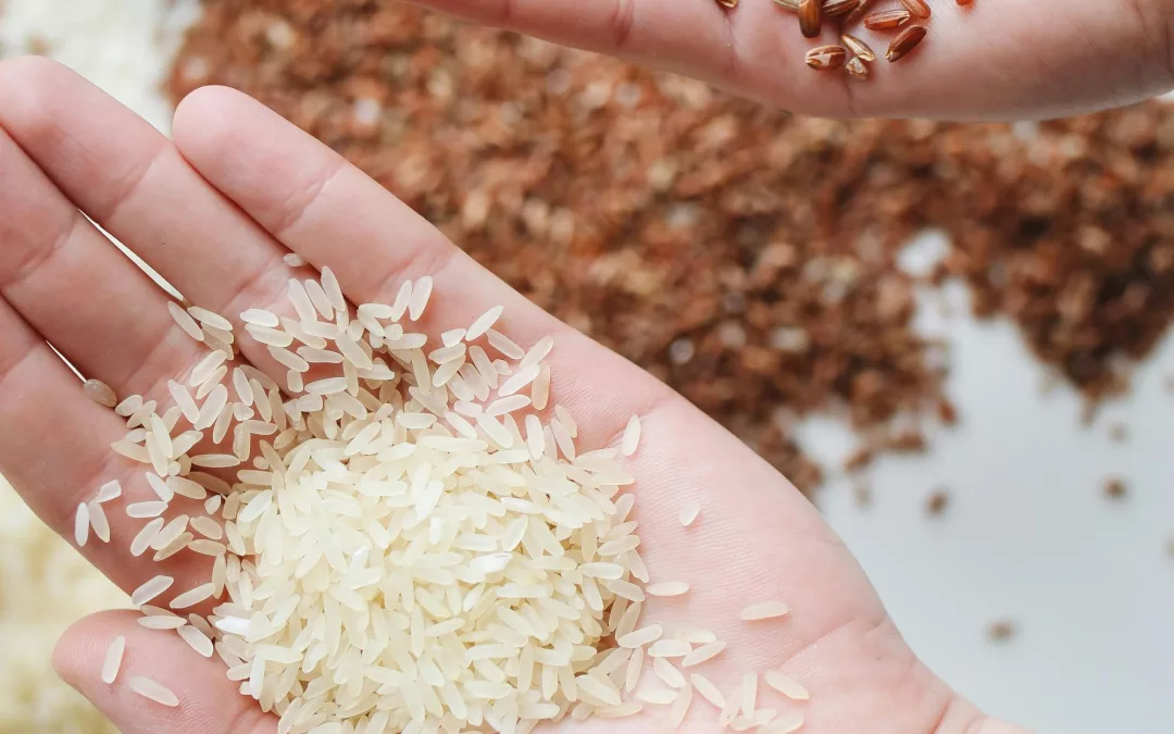 Impact du régime pauvre en FODMAP neurodivergent 