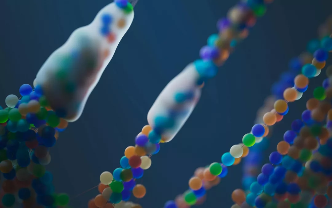 Acides aminés précurseurs neurotransmetteurs TDAH autisme