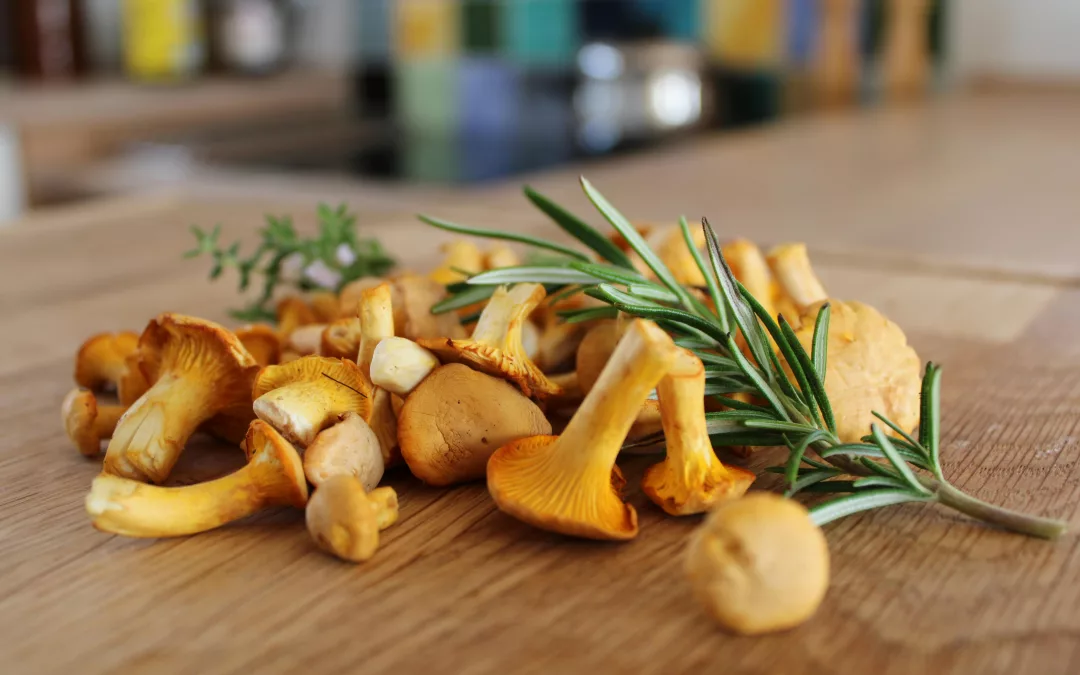 Nutraceutiques émergents (nootropiques naturels) et neurodivergence 