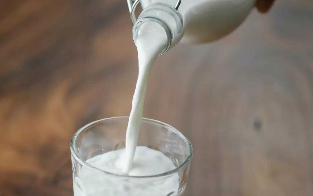 Peptides bioactifs issus des protéines du lait et modulation du comportement