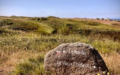 Pourquoi le métabolisme ralentit-il avec l’âge