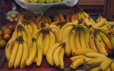Syndrome de l’intestin irritable aliments