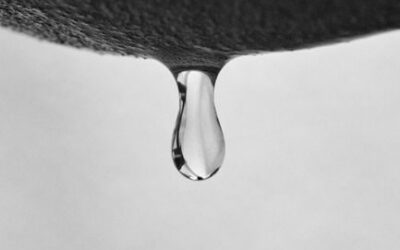 Goutte et alimentation