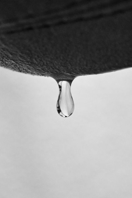 Goutte et alimentation Goutte et alimentation – consultation nutritionniste