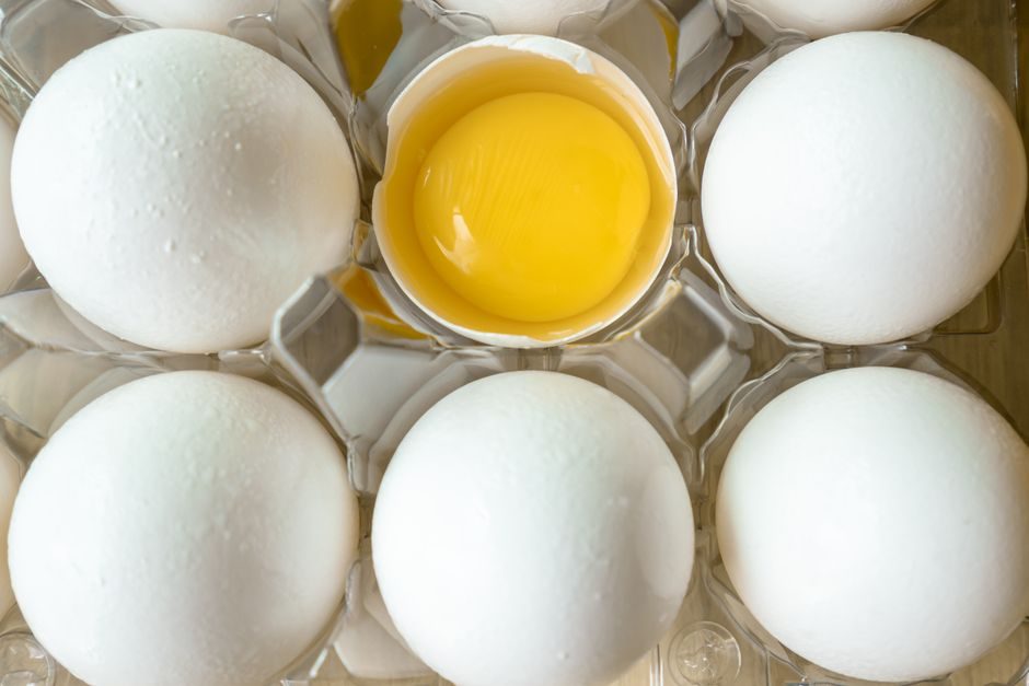 L’Ostéoporose et les Nutriments Essentiels : Prévention et Traitement par la Nutrition L'Ostéoporose et les Nutriments Essentiels : Prévention et Traitement par la Nutrition – consultation nutritionniste