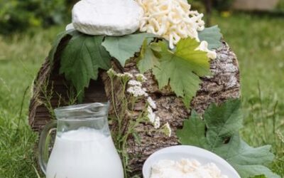 Aliments riches en calcium