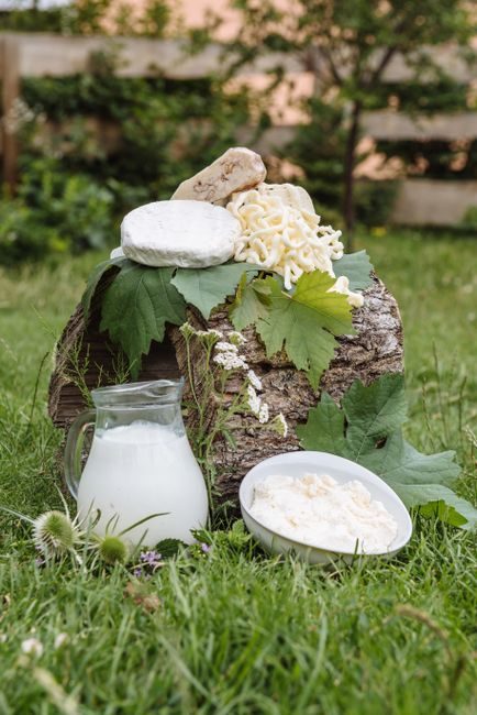 LES MEILLEURS ALIMENTS RICHES EN CALCIUM : UN GUIDE SCIENTIFIQUE POUR OPTIMISER VOTRE NUTRITION LES MEILLEURS ALIMENTS RICHES EN CALCIUM : UN GUIDE SCIENTIFIQUE POUR OPTIMISER VOTRE NUTRITION – consultation nutritionniste