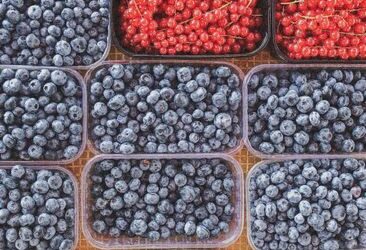 Les antioxydants sont-ils vraiment utiles ?