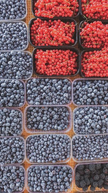 Les antioxydants sont-ils vraiment utiles ? La vérité scientifique derrière un phénomène nutritionnel – consultation nutritionniste