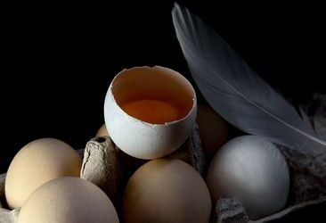 Choline et santé