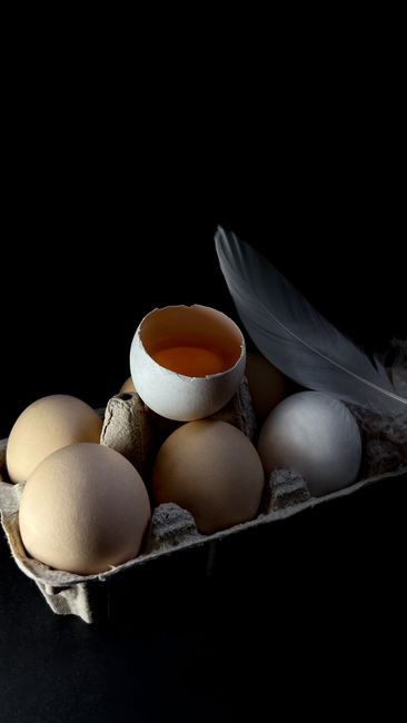 Le Rôle de la Choline dans la Santé : Un Nutriment Essentiel Méconnu Le Rôle de la Choline dans la Santé : Un Nutriment Essentiel Méconnu – consultation nutritionniste