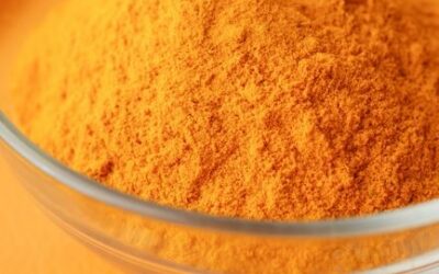 Curcumine études scientifiques